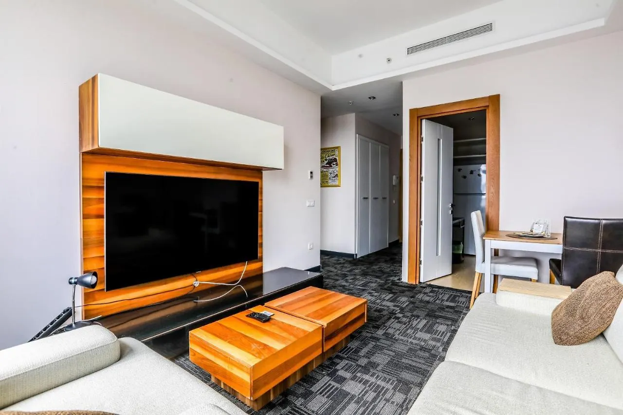 Fully Furnished Flat With Security In Atasehir Apartman Isztambul